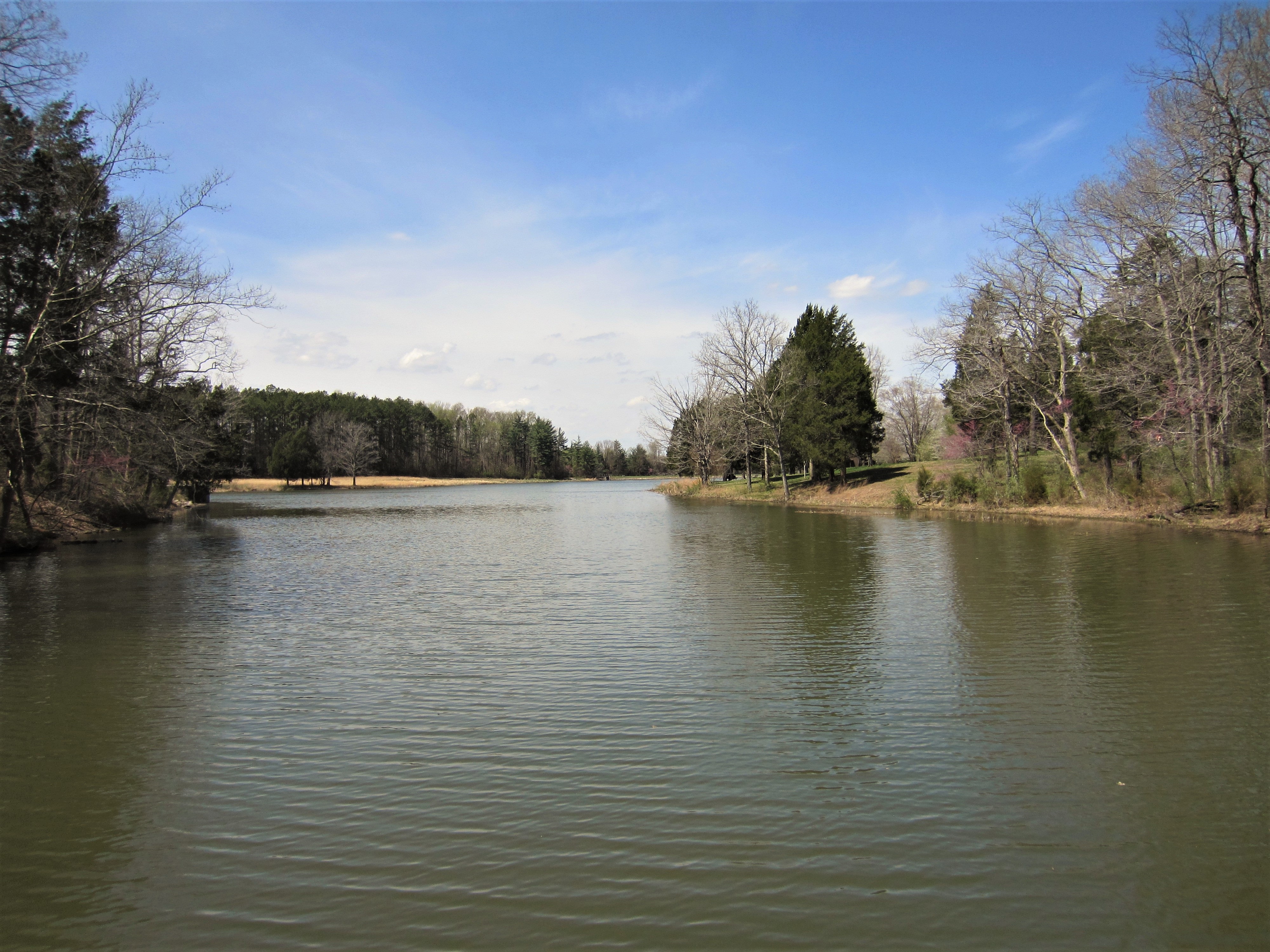 Image of Lake Nevin at Bernheim Forest