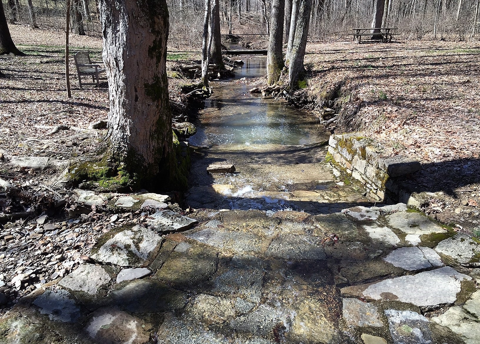 Creek bed at Bernheim Forest