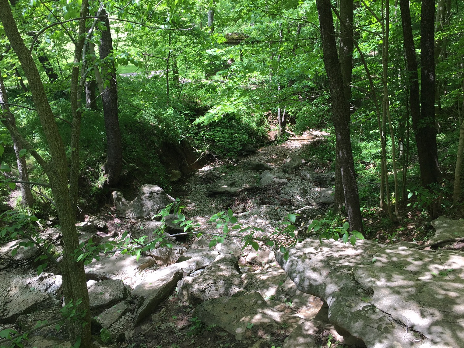 Dry creek bed at Cherokee Park.