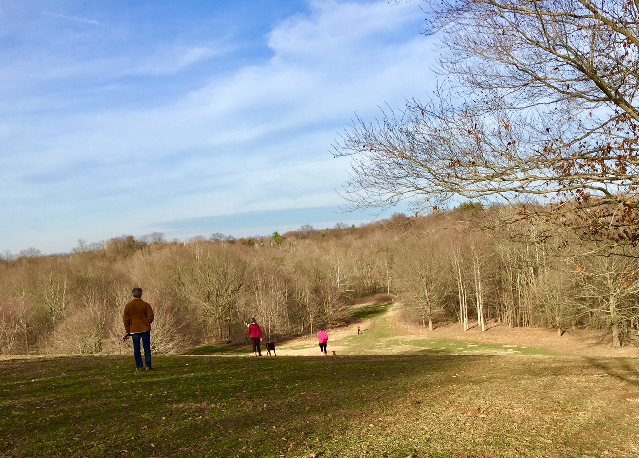 People walk down a hill