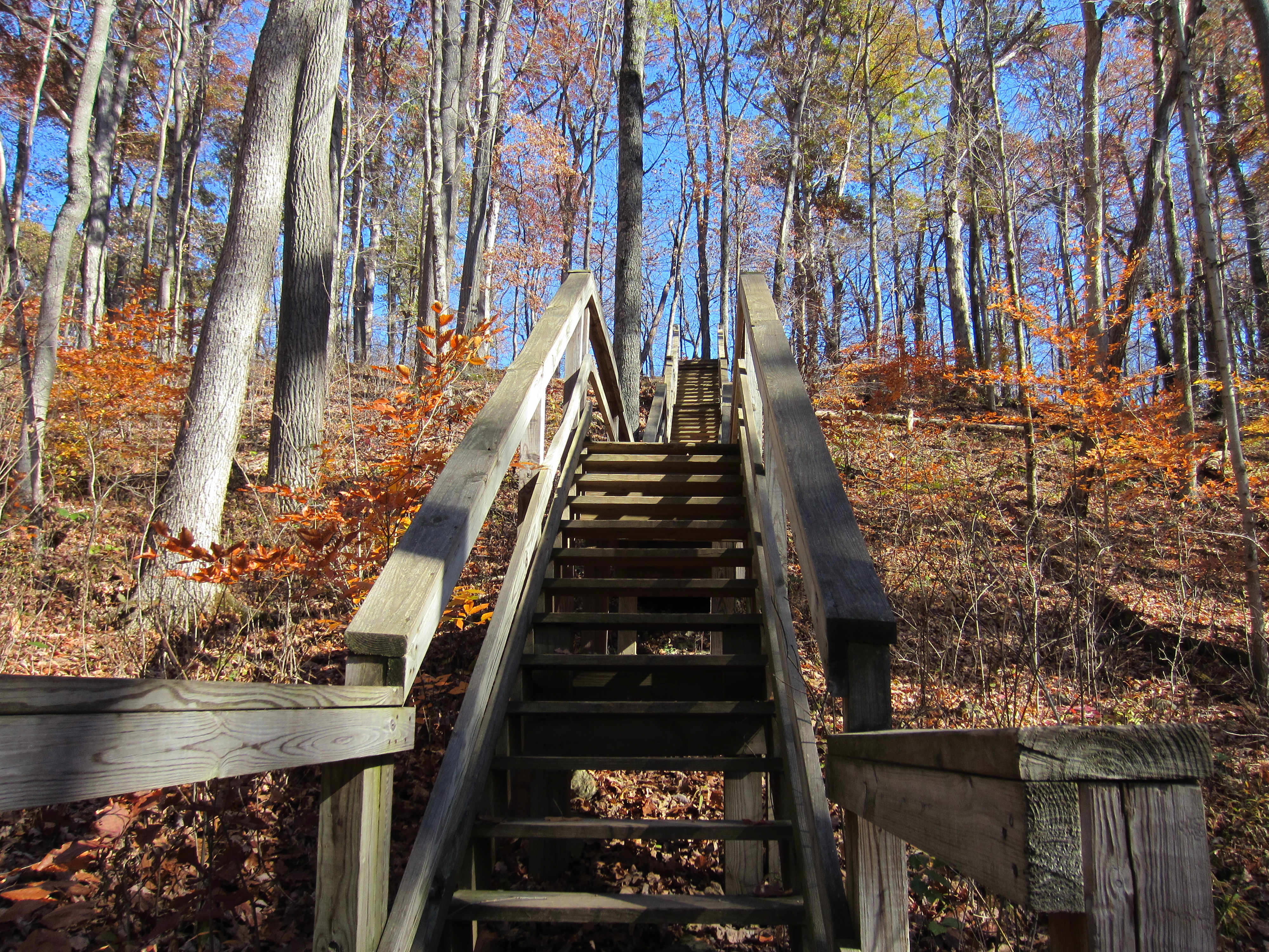 Staircase on trail at Clifty Falls