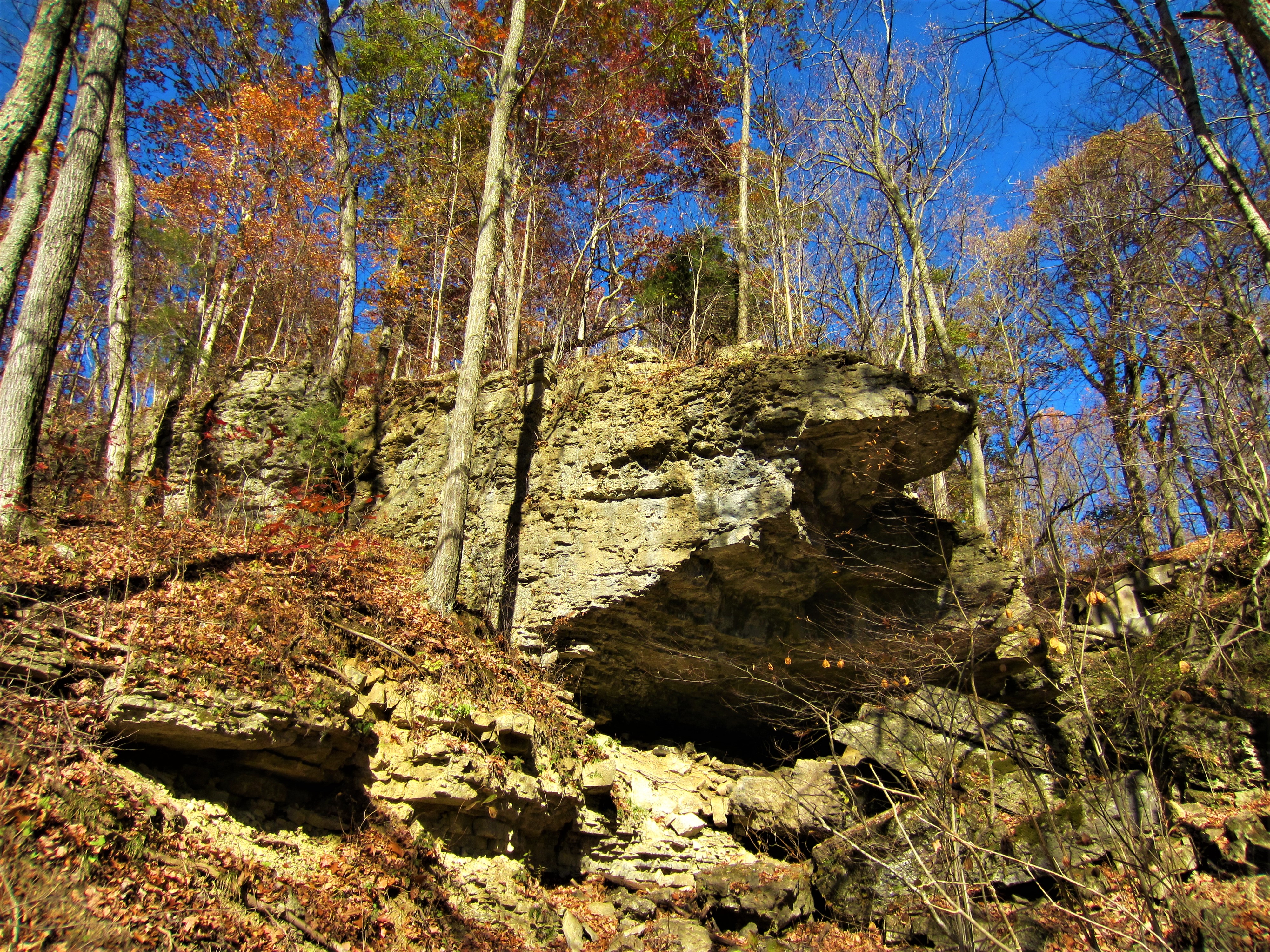 A limestone rock formation along a trail at Clifty Falls State Park