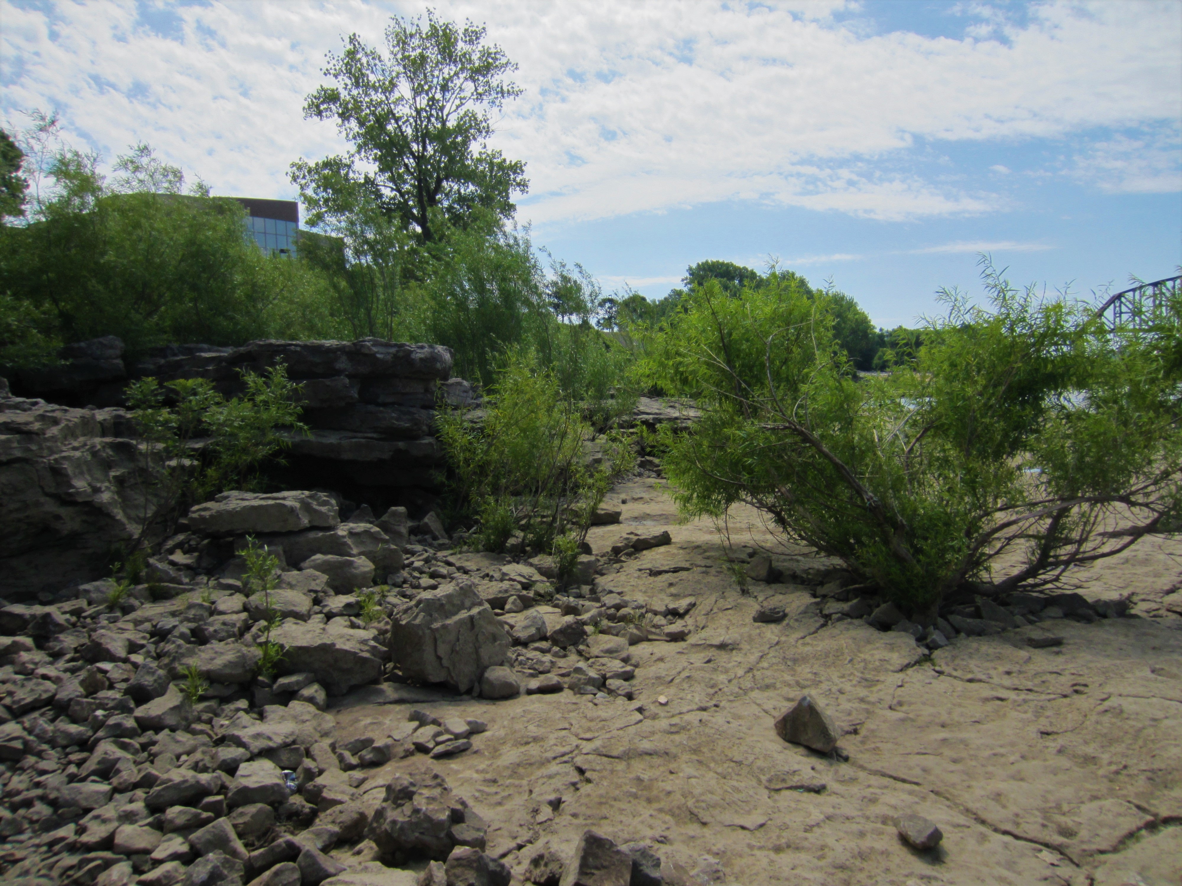 Image of terrain at Falls of the Ohio State Park