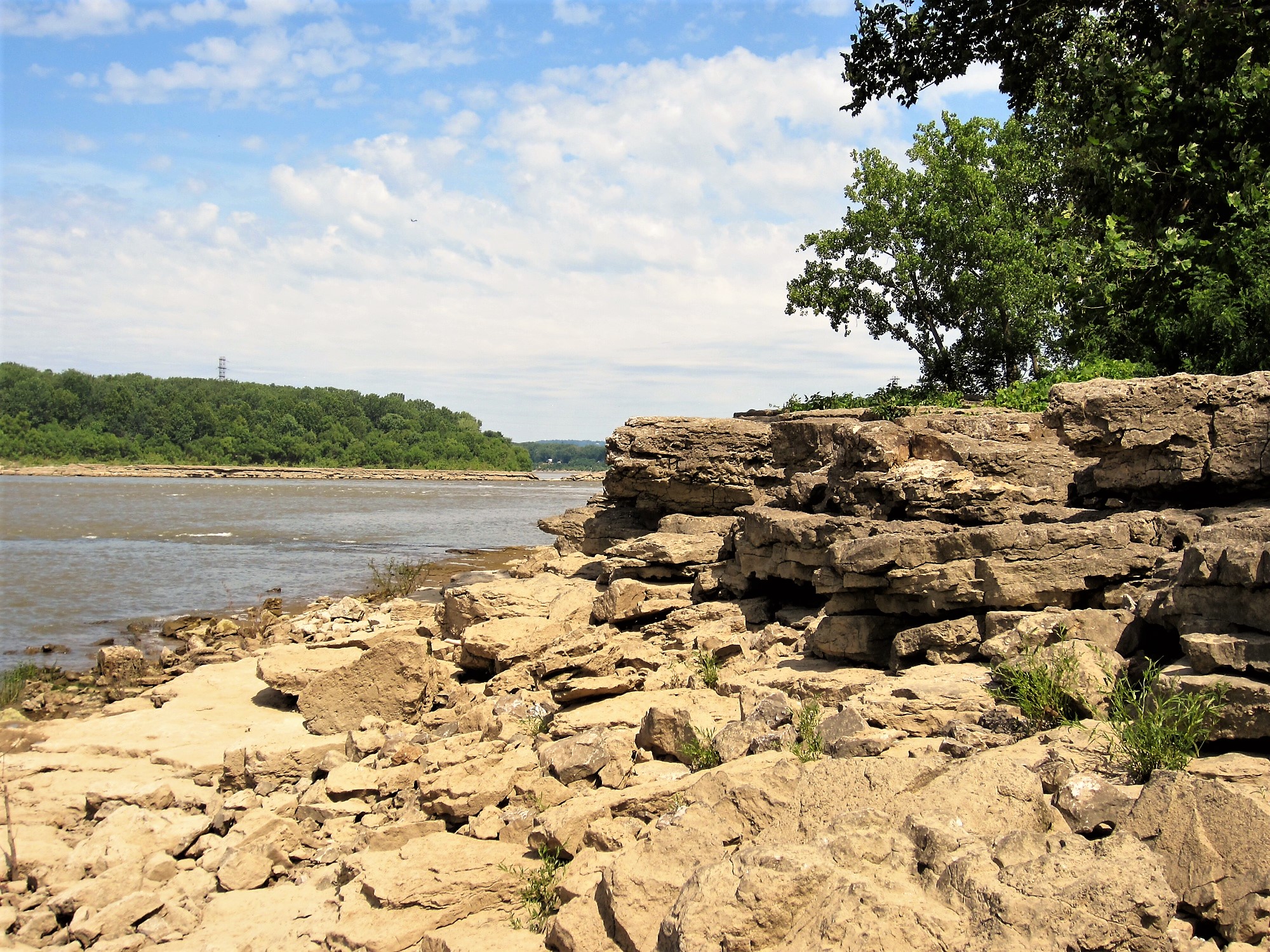 An outcrop of rocks along the Ohio River at Falls of the Ohio State Park