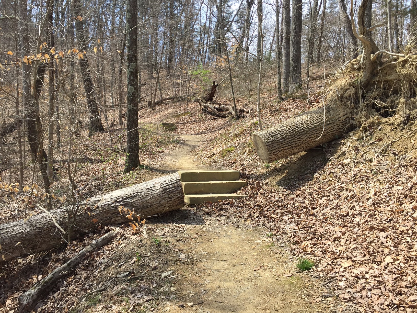 Trail with fallen tree on it