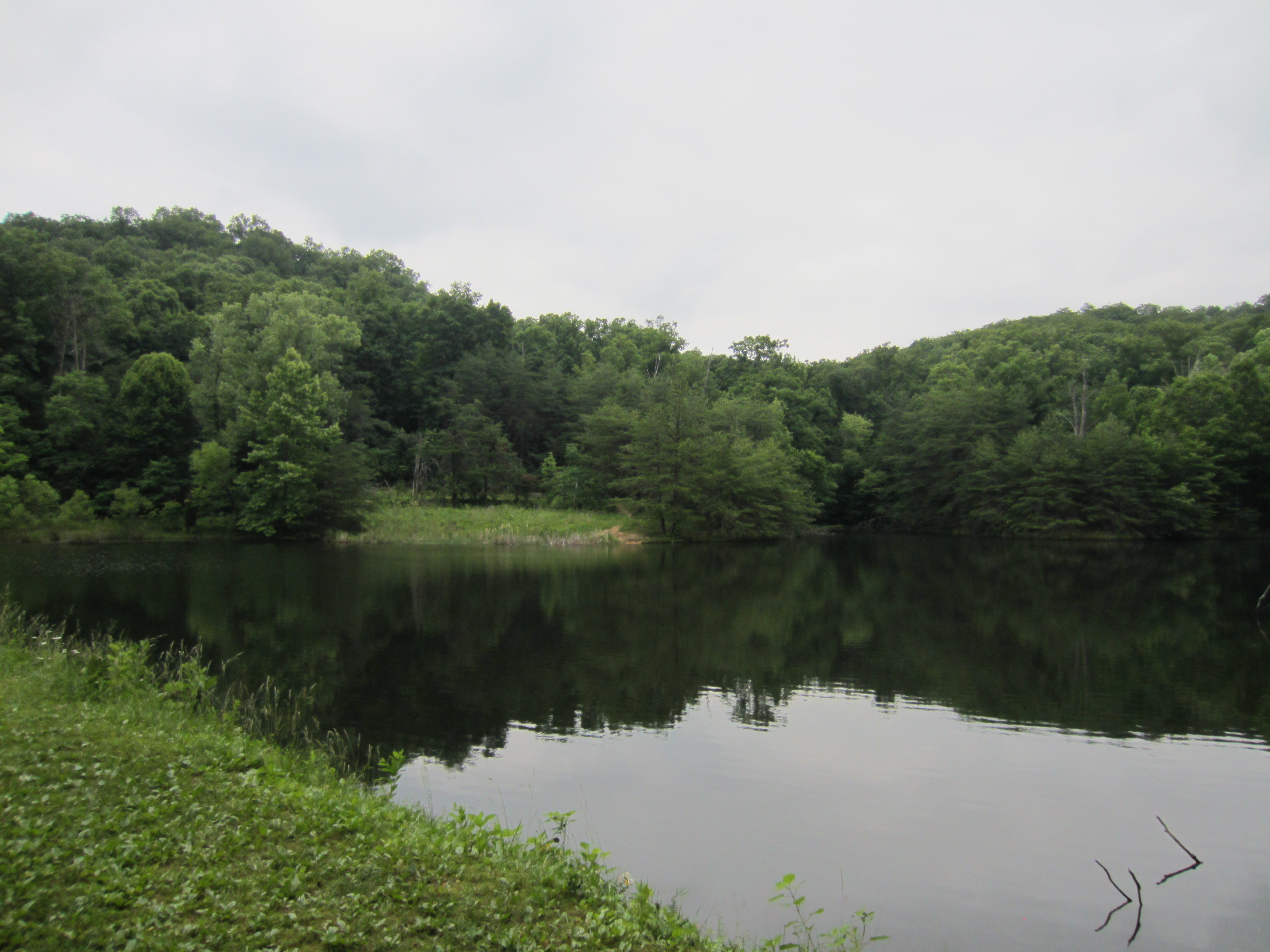 Mitchell Hill Lake at Jefferson Memorial Forest