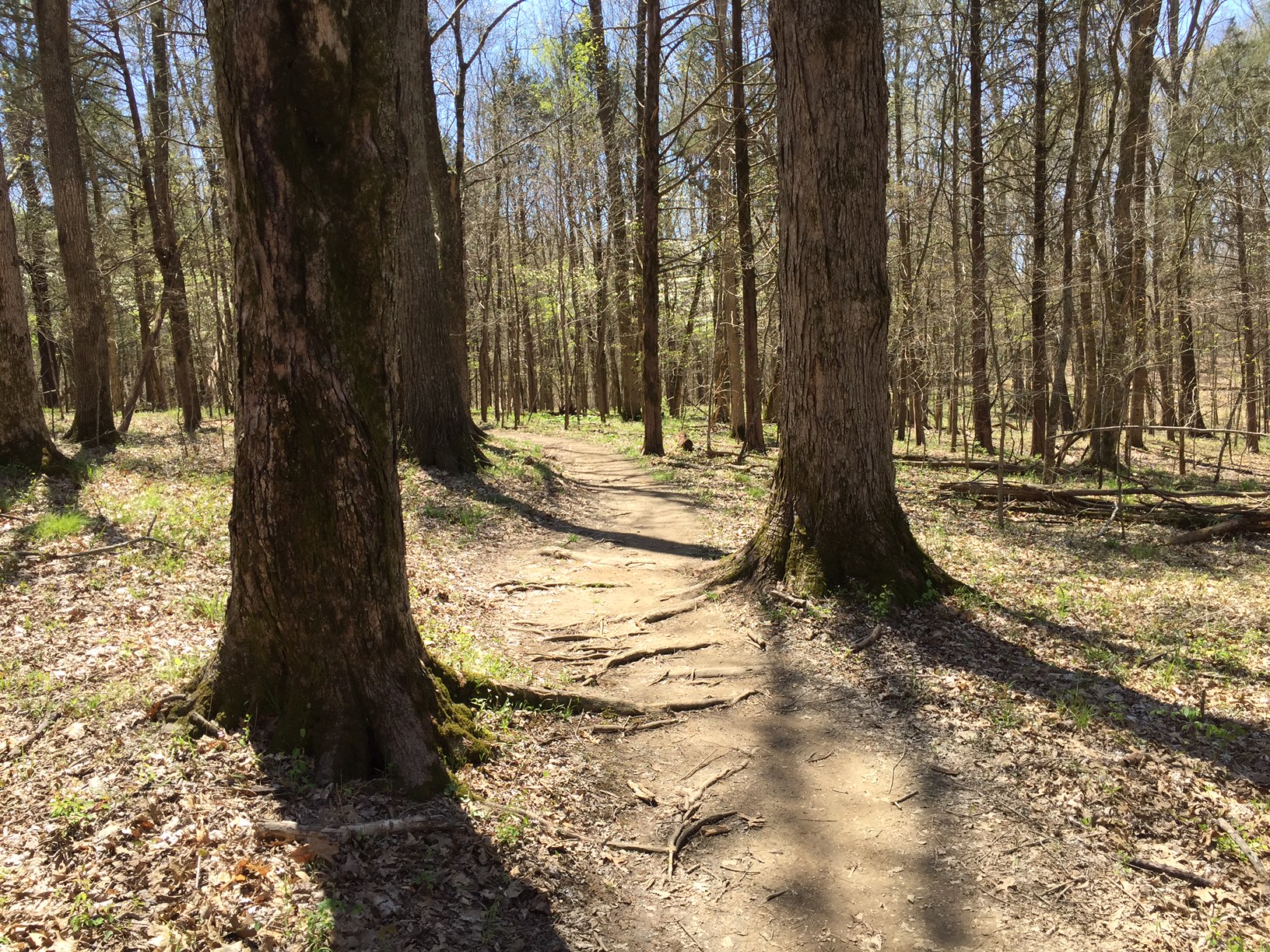 Trail at Pope Lick Park