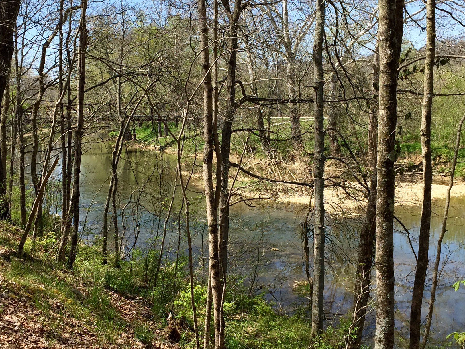 Image of bridge over creek.