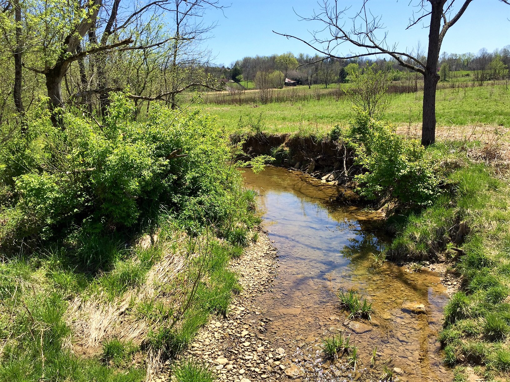 A creek and meadow at Pope Lick Park, one of four parks in the Parklands system